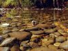 How You Can Be Environmentally Friendly While Camping