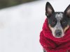 Hiking Gear You Need for Winter